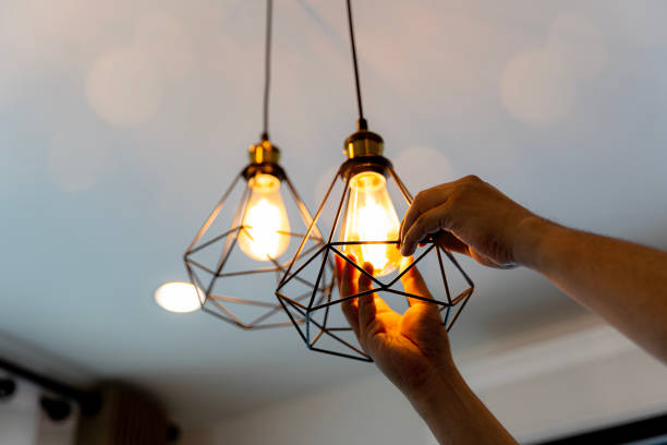 Best Industrial Electrical Services  in Muskegon Heights, MI