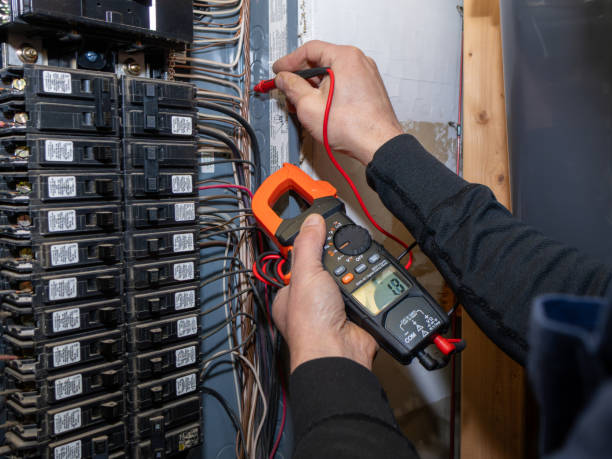 Best Electrical Repair Services  in Muskegon Heights, MI